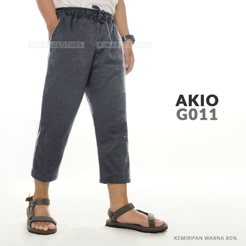 akio g011